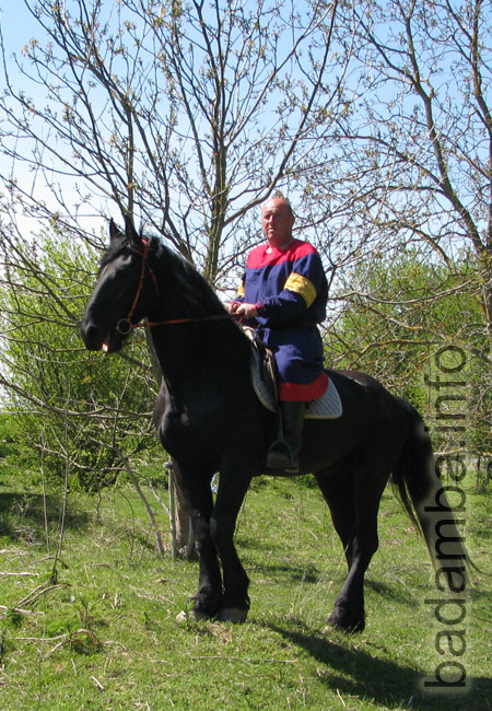 horseman