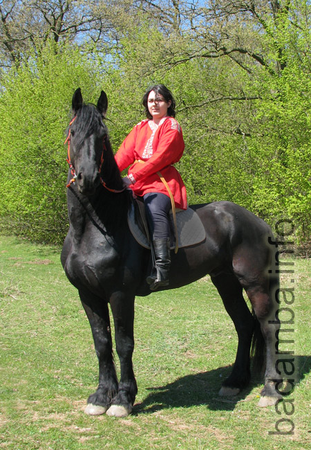 Horsewoman